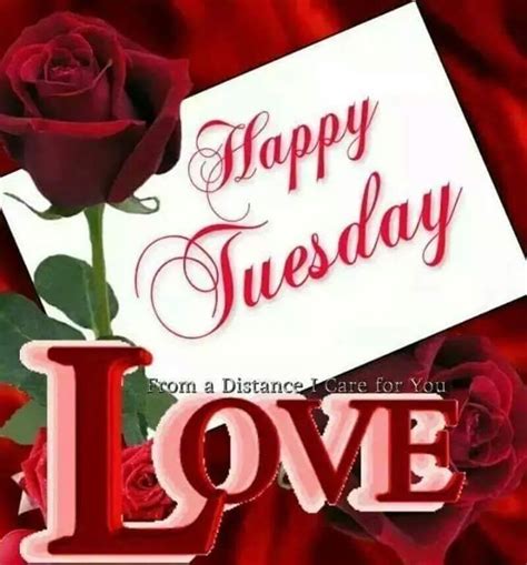 happy tuesday love images