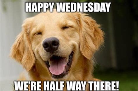 happy wednesday images funny