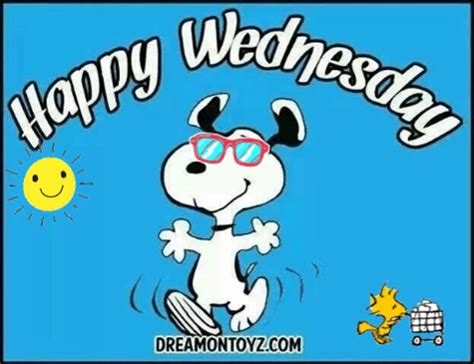 happy wednesday images funny gifs