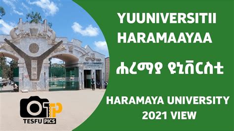 haramaya university exit strategy