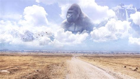 harambe looking over field