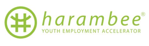 harambee youth employment apply now