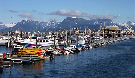 Homer Alaska Boat Harbor Photograph by Tami Biorn