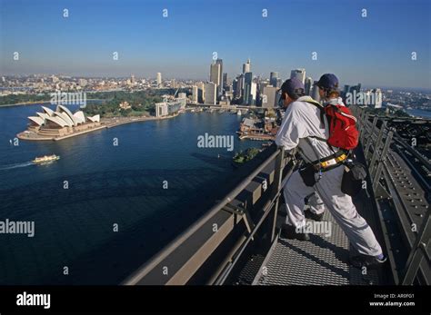 harbour tour guide
