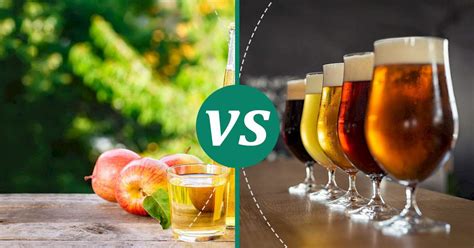 Hard Cider Vs Cider