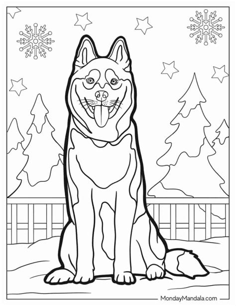Hard Pattern Coloring Pages Husky