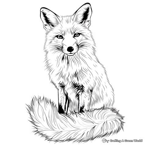Hard Pattern Coloring Pages Red Fox
