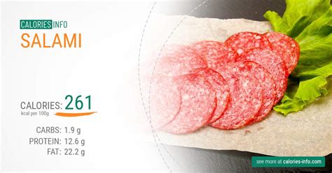 Hard Salami Slice Calories