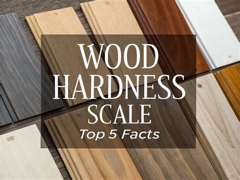 Hardness Of Zebra Wood