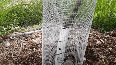 Hardware Cloth Vegetable