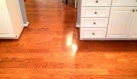 10 best images about Stained Maple on Pinterest Maple floors, Stains