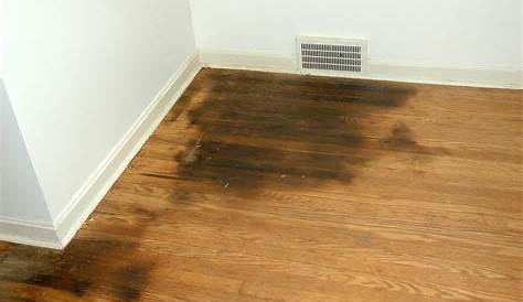How to Remove Black Urine Stains from Hardwood Floors (8 Simple Methods