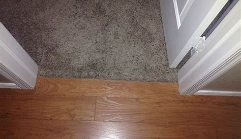 Replacing Carpet With Hardwood Floors