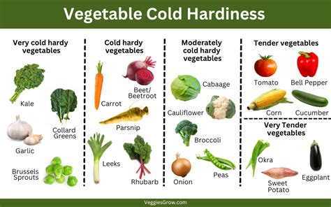 Cold Hardy Vegetables let You Get a Head Start on Spring