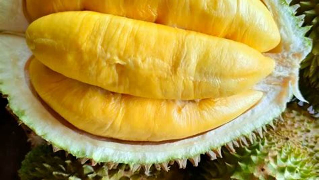 Rahasia Harga Durian Musang King di Batam Terkuak, Siap-siap Ketagihan!