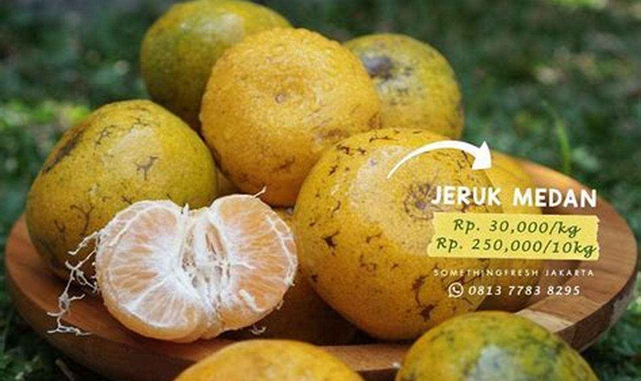 Jual Jeruk Medan 1 Kg Kota Tangerang Selatan faeyzafoods Tokopedia