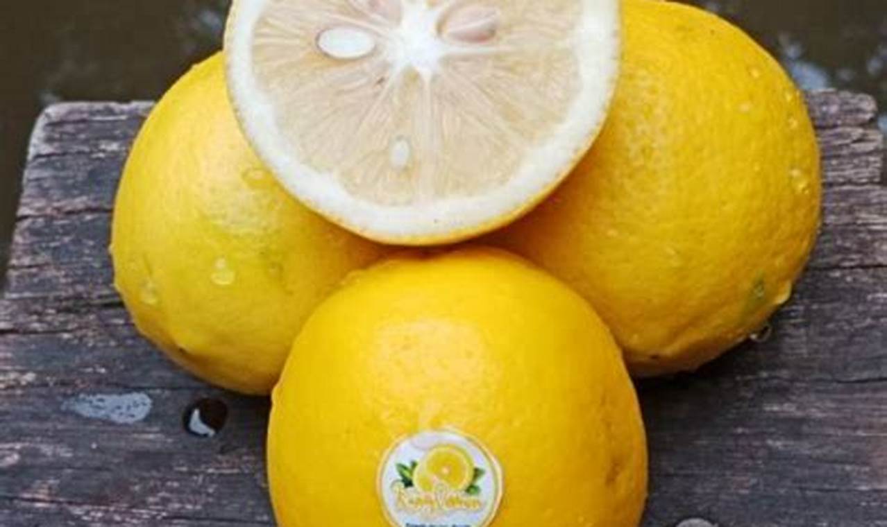 Buy Fresho Lemon 1 Kg Online At Best Price of Rs 220 bigbasket