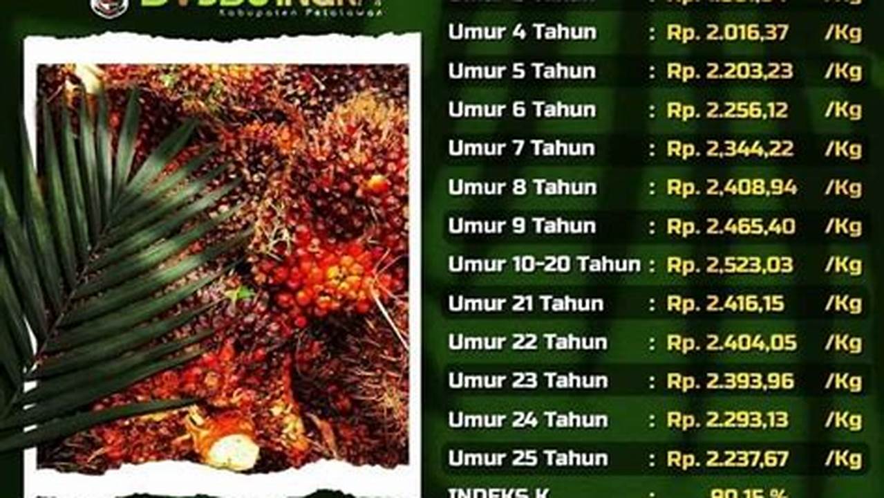 Harga TBS Riau Turun Lagi, Ini Daftar Harga Periode 1319 Juli 2022