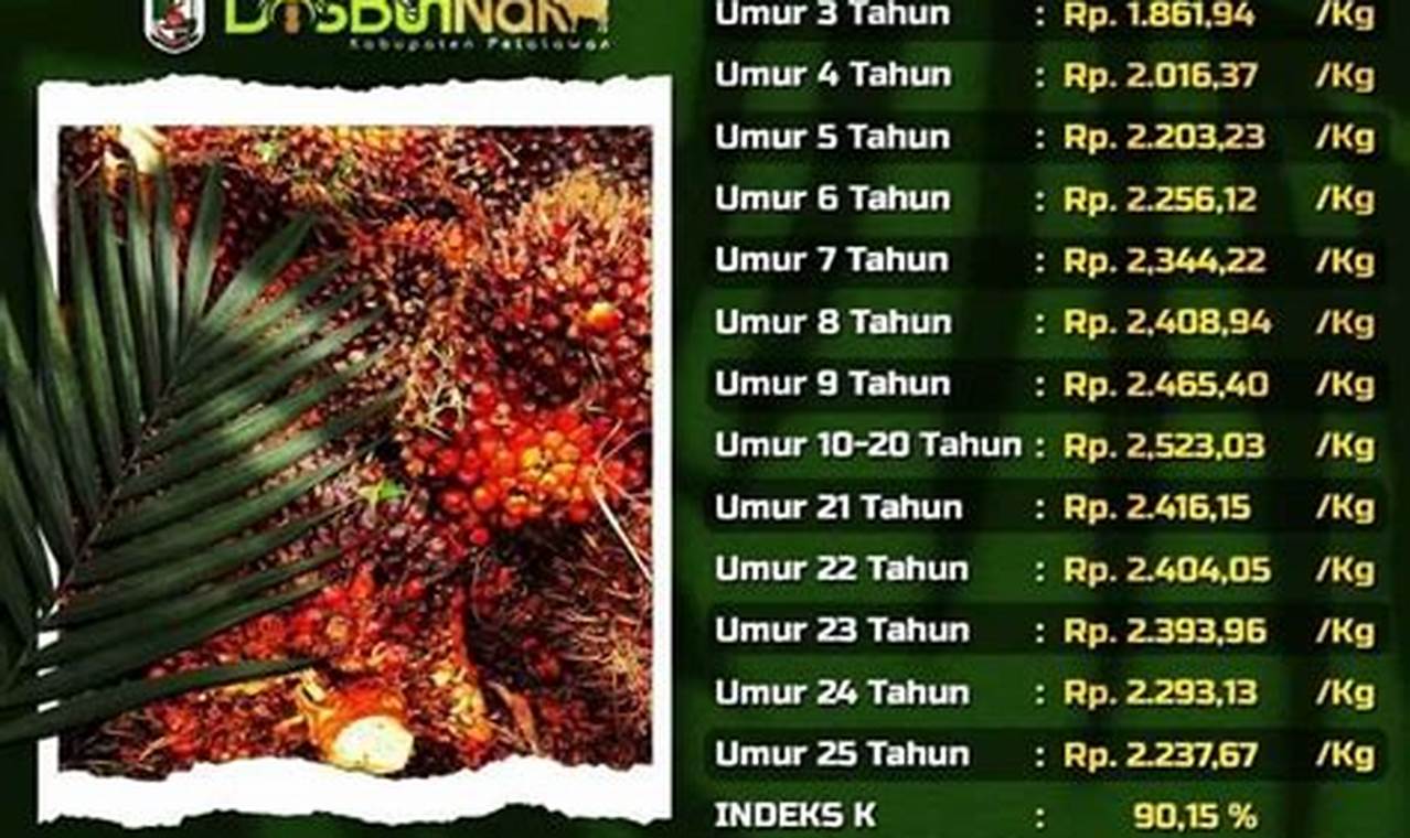 Harga TBS Riau Turun Lagi, Ini Daftar Harga Periode 1319 Juli 2022