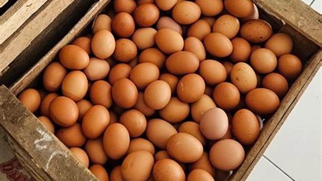 Telur Ayam Negeri Per Peti. PANSERBA