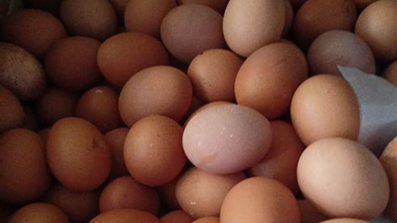 Temukan Rahasia Harga Telur Ayam per Kilo yang Mencengangkan