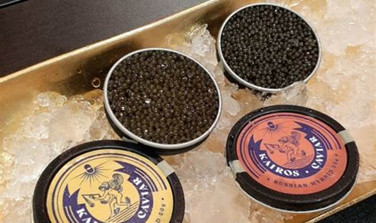 Jual Murah Sterling Caviar Telur Ikan Caviar Telur Ikan Telur Caviar