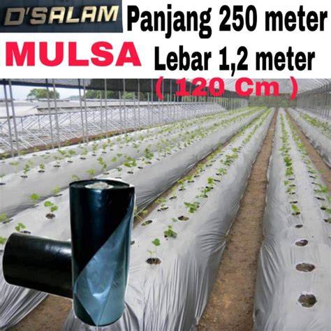 Distributor Bunga Plastik Murah Terbaru