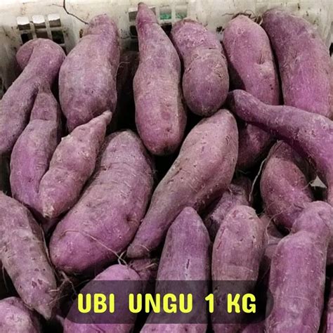 harga ubi kayu 1 kg