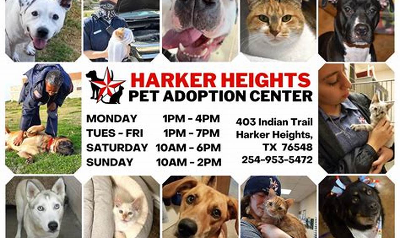 Welcome to Harker Heights Pet Adoption Center - Find Your Furry Friend Today!