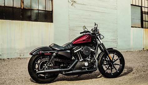 Harley Davidson Iron Rod