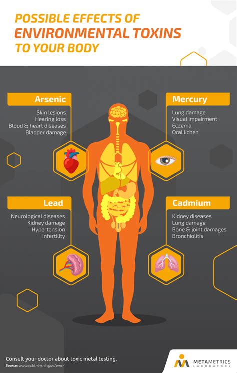 harmful effects of heavy metals