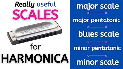Harmonica English Sentence
