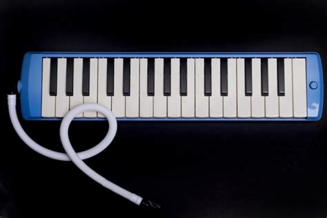 Harmonica Instruments Like