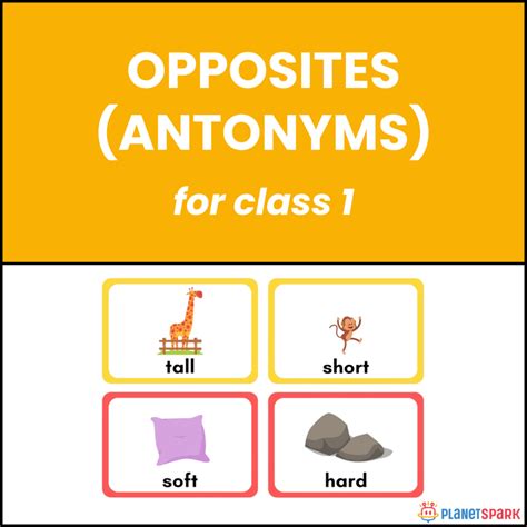 5 Harmonious Opposite Words