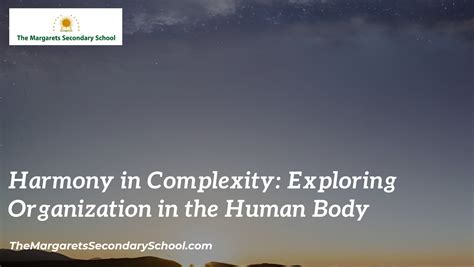 Harmony in Complexity Image