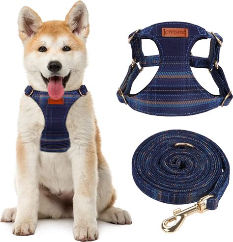 Harness Amazon Dog