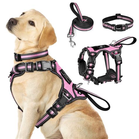 Harness And Collar Set