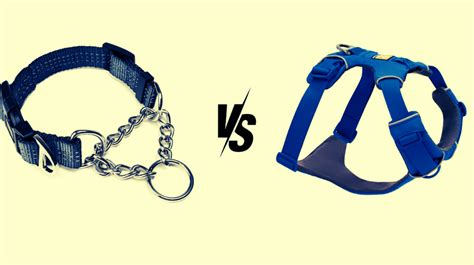 Harness Vs Martingale