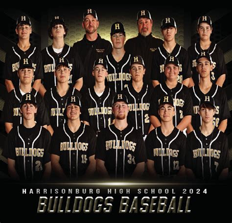 Harrisonburg Baseball