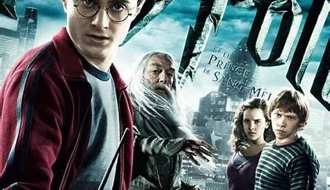 Harry Potter 1-2-3-4-5-6-7 Partie 1 et 2 [DVDRip] - Tout y est