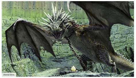 Harry fighting his dragon in the Goblet of Fire | Harry potter fan art