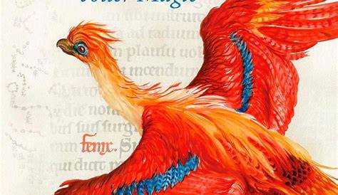 Harry Potter: Eine Geschichte voller Magie - LeseLeben