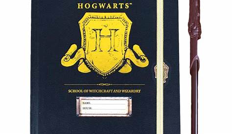 Harry Potter Notebook & Wand Pen Set | Attitude Clothing