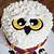 harry potter owl cake ideas