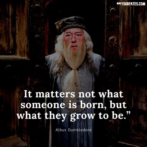 Harry Potter Quotes About Choices. QuotesGram