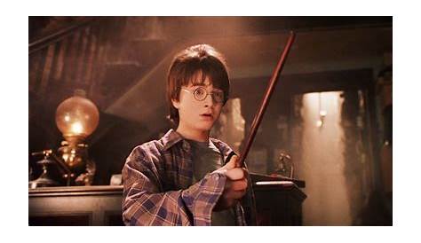 Harry Potter: 10 Coolest Wands (& What They Do)
