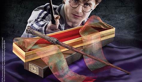 A Complete Guide to Wands in The Wizarding World of Harry Potter