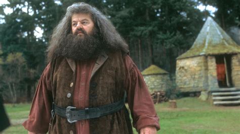 harry potter and the sorcerer's stone hagrid