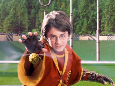 harry potter catch the golden snitch