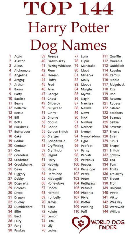 Harry Potter Girl Dog Names